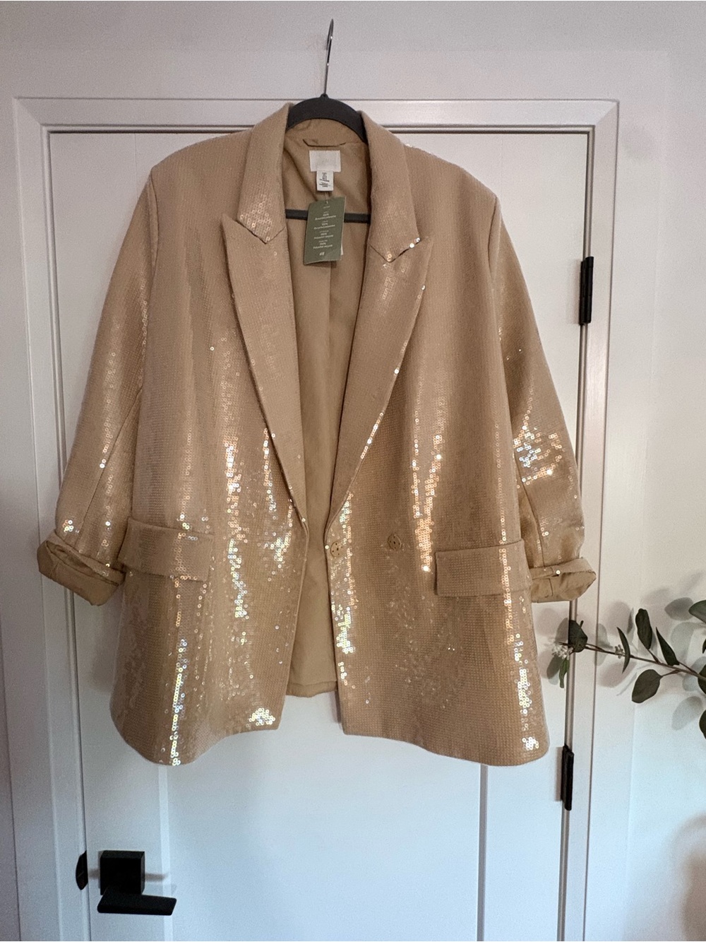 H&M Beige Sequin Blazer Jacket